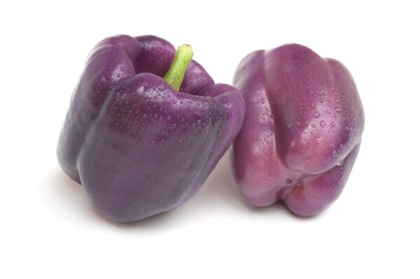 purple beauty bell pepper