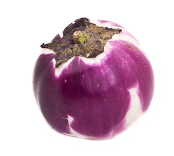 Eggplant – Rosa Bianca