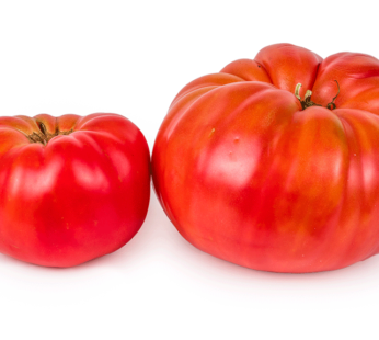 Tomato – Sicilian Saucer