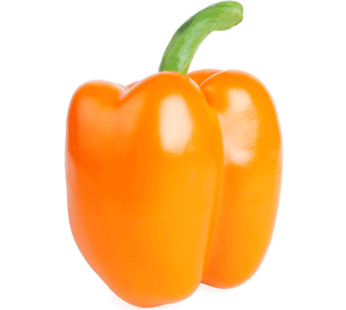 Pepper – Orange King Bell
