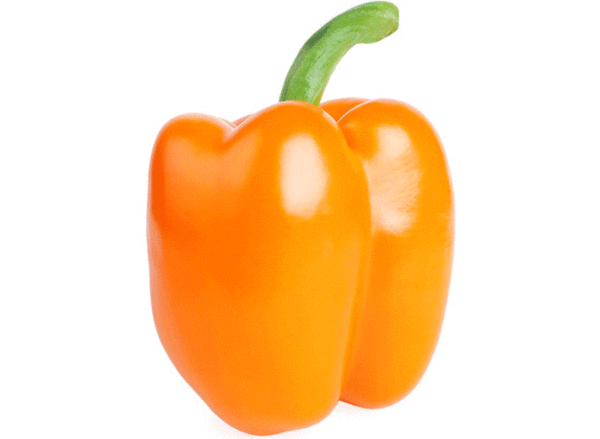 sweet bell pepper orange king bell