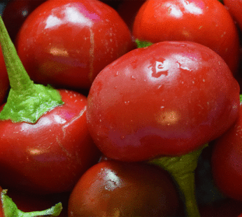Pepper – Cherry