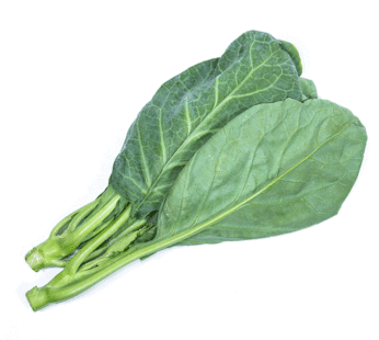 Cabbage – Collard Vates