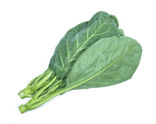 collard cabbage