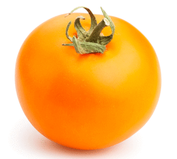 Tomato – Orange Queen