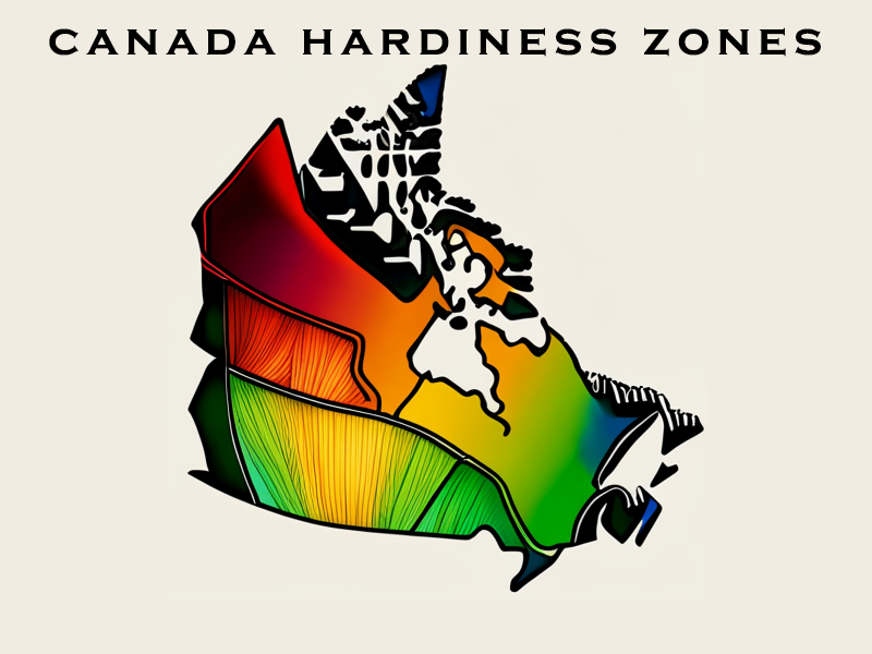 Plant Hardiness Zones in Canada: What is your rusticity zone?