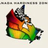 Plant Hardiness Zones in Canada: What is your rusticity zone?