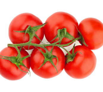 Tomato – Scotia
