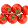 scotia tomato