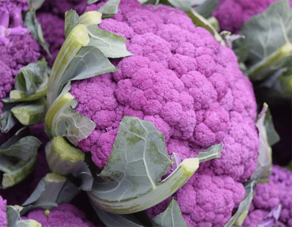 violet star F1 cauliflower