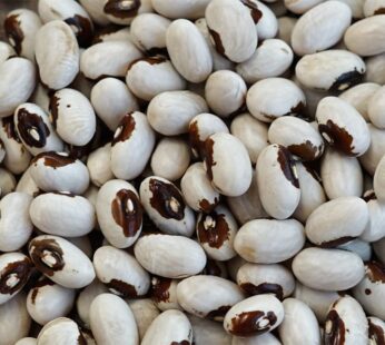 Bean – Yellow Fortin