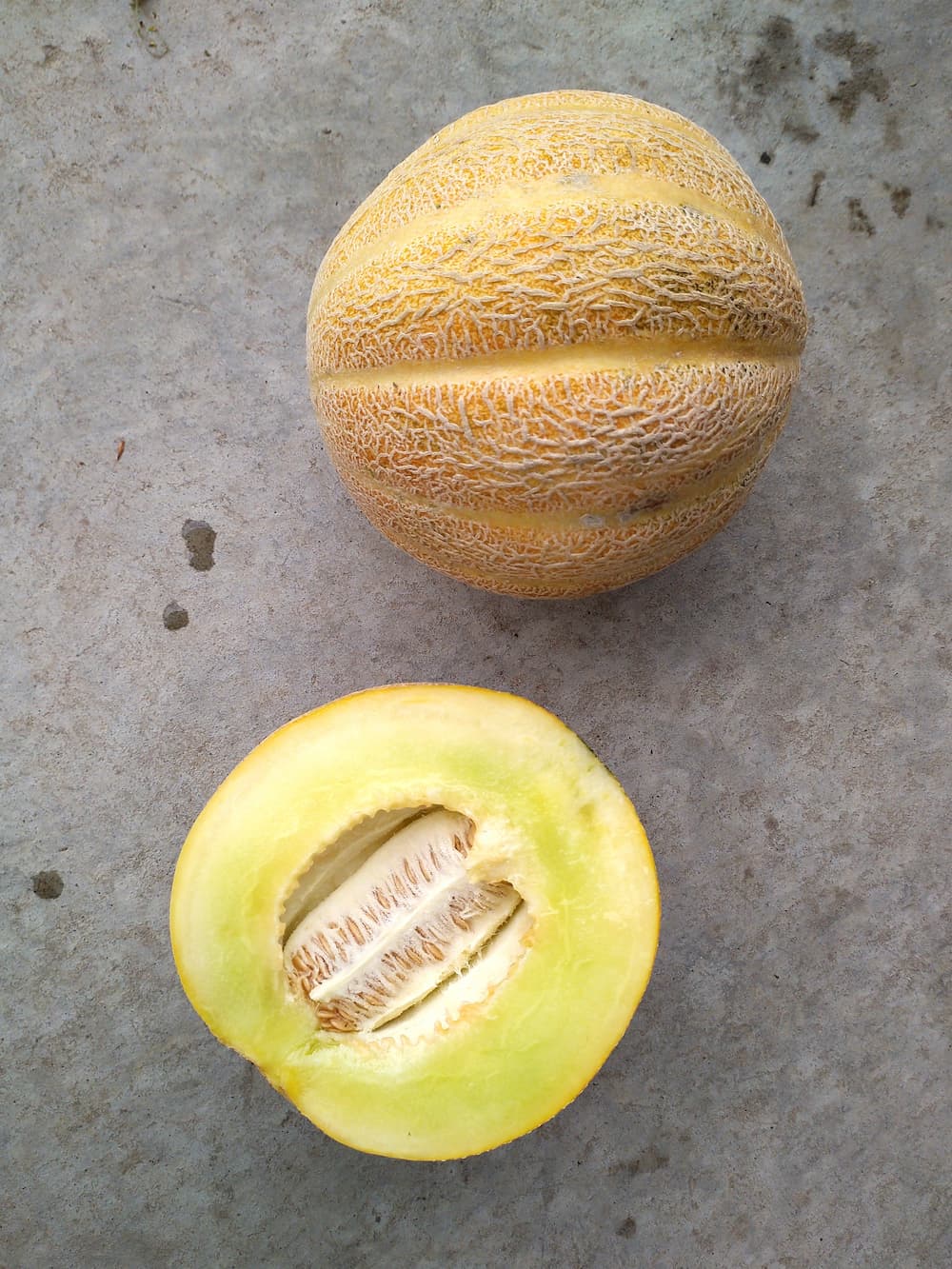 Melon - Montreal Market Muskmelon seeds - Heirloom Seeds Canada