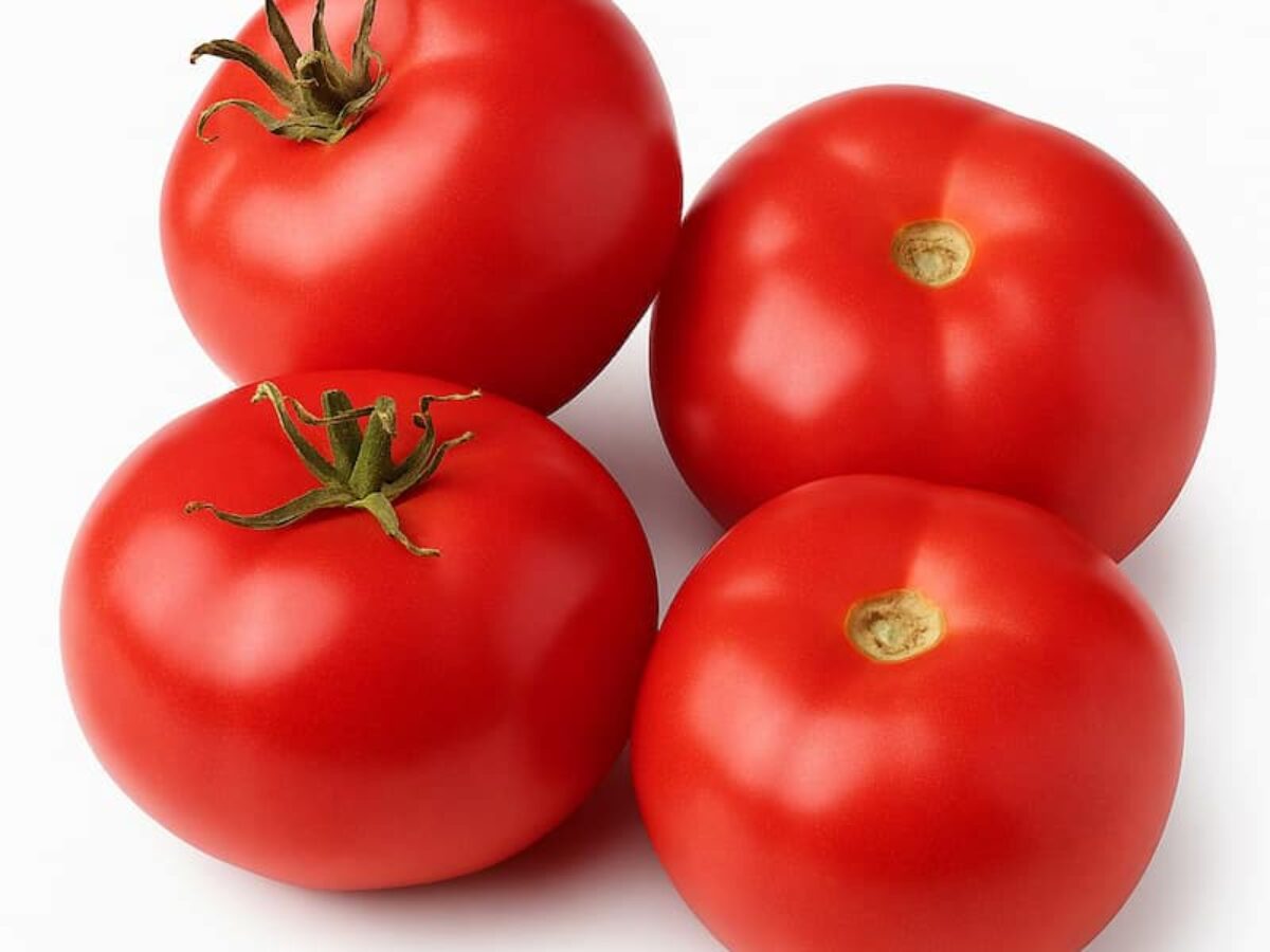quebec-13-tomato-1200x900.jpg