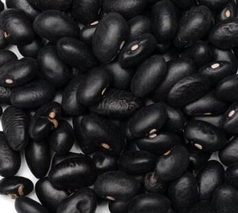 Bean – Black Turtle Shelling Bean