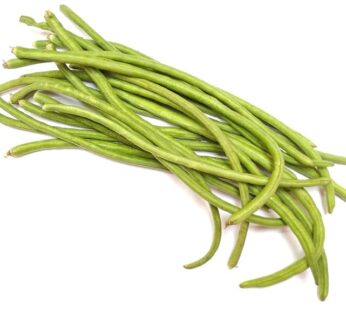 Bean – Yard Long Fong #2 green