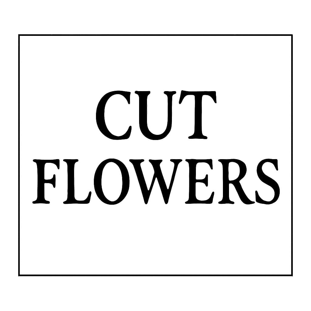 Cut Flowers