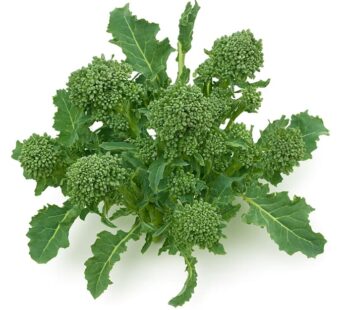 Broccoli – Sprouting Riccio di Scarno